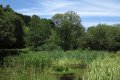 camelford02 Photo