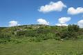 St Bellarmins Photo