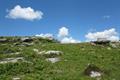 St Bellarmins Photo