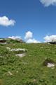St Bellarmins Photo