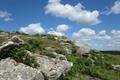 St Bellarmins Photo