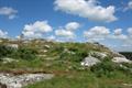 St Bellarmins Photo