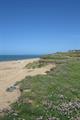 Cogden Beach 07Photo Cogden Beach Photo