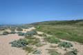 Cogden Beach 14Photo Cogden Beach Photo