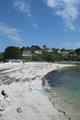 Swanpool Photo