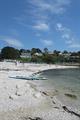Swanpool Photo