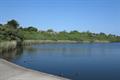 Swanpool Photo