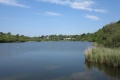 Swanpool Photo