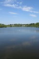 Swanpool Photo