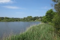 Swanpool Photo