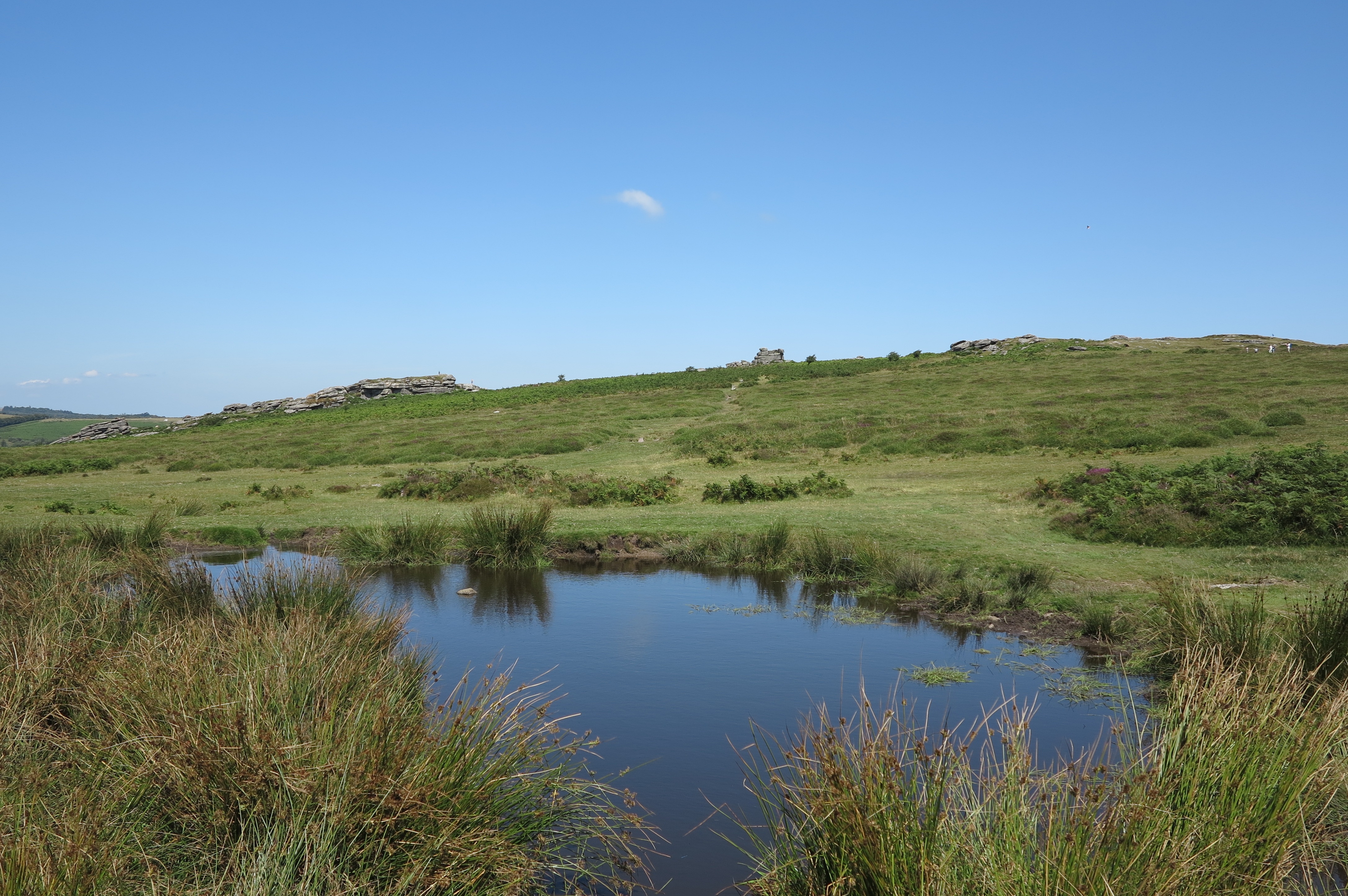 Elmhurst Rocks Emsworthy Rocks Photos