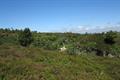 Haytor Quarry Photo