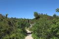 Haytor Quarry Photo