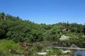 Haytor Quarry Photo