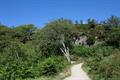 Haytor Quarry Photo