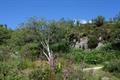 Haytor Quarry Photo