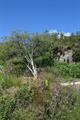 Haytor Quarry Photo