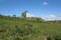 Haytor Quarry Photo