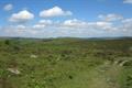 Holwell Tor Photo