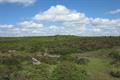 Holwell Tor Photo