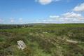 Holwell Tor Photo