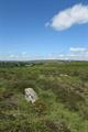Holwell Tor Photo