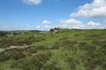 Holwell Tor Photo