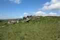 Holwell Tor Photo