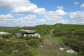Holwell Tor Photo