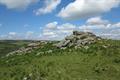 Holwell Tor Photo