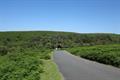 Pudsham Down Photo