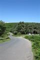 Pudsham Down Photo