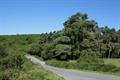 Pudsham Down Photo