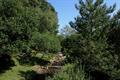 Pudsham Down Photo