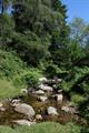 Pudsham Down Photo