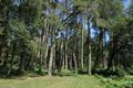 Pudsham Down Photo