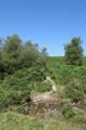 Pudsham Down Photo