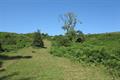 Pudsham Down Photo