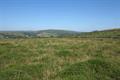 Pudsham Down Photo