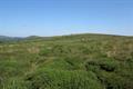 Pudsham Down Photo