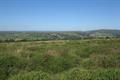 Pudsham Down Photo