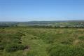 Pudsham Down Photo