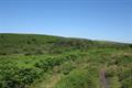 Pudsham Down Photo