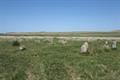 Ring Moor Down Photo