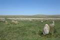 Ring Moor Down Photo
