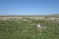 Ring Moor Down Photo