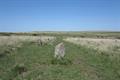 Ring Moor Down Photo