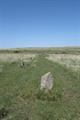 Ring Moor Down Photo