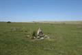 Ring Moor Down Photo
