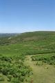 Smallacombe Rocks Photo